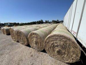 JS Farm and Ranch Winnie Feed Store Round Hay Bale