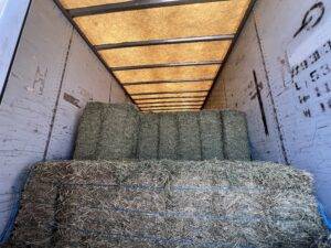 JS Farm and Ranch Winnie Feed Store Square Bale HayJPG